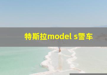 特斯拉model s警车